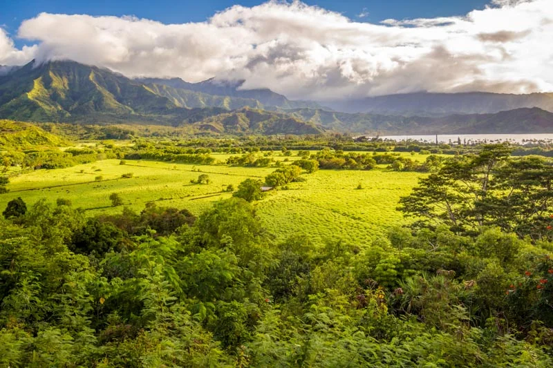 Hawaii-11.jpg