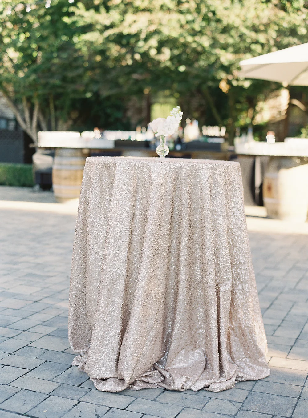 Stephanie_Peter_Wed_657.jpg