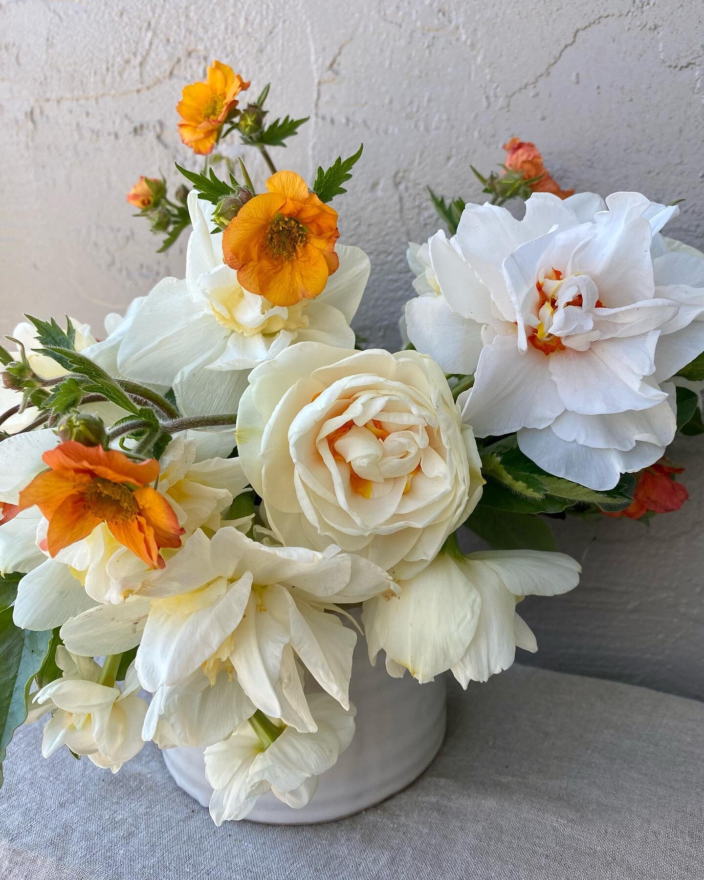 Spring blooms grown by @beanlanefarm. I love this time of year. 🌱