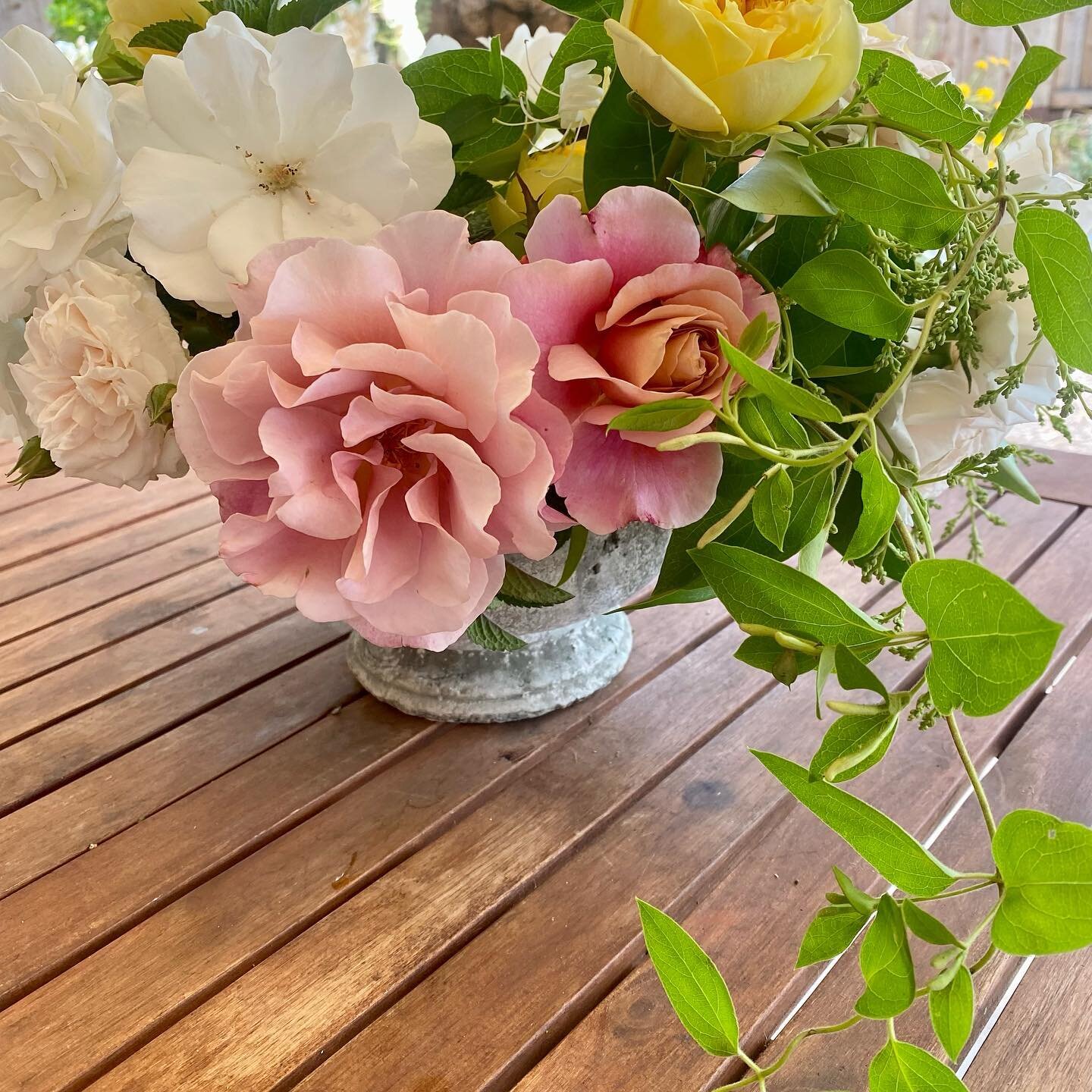 Mother&rsquo;s Day ode to garden roses 🌸