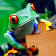 Icon@2x.png