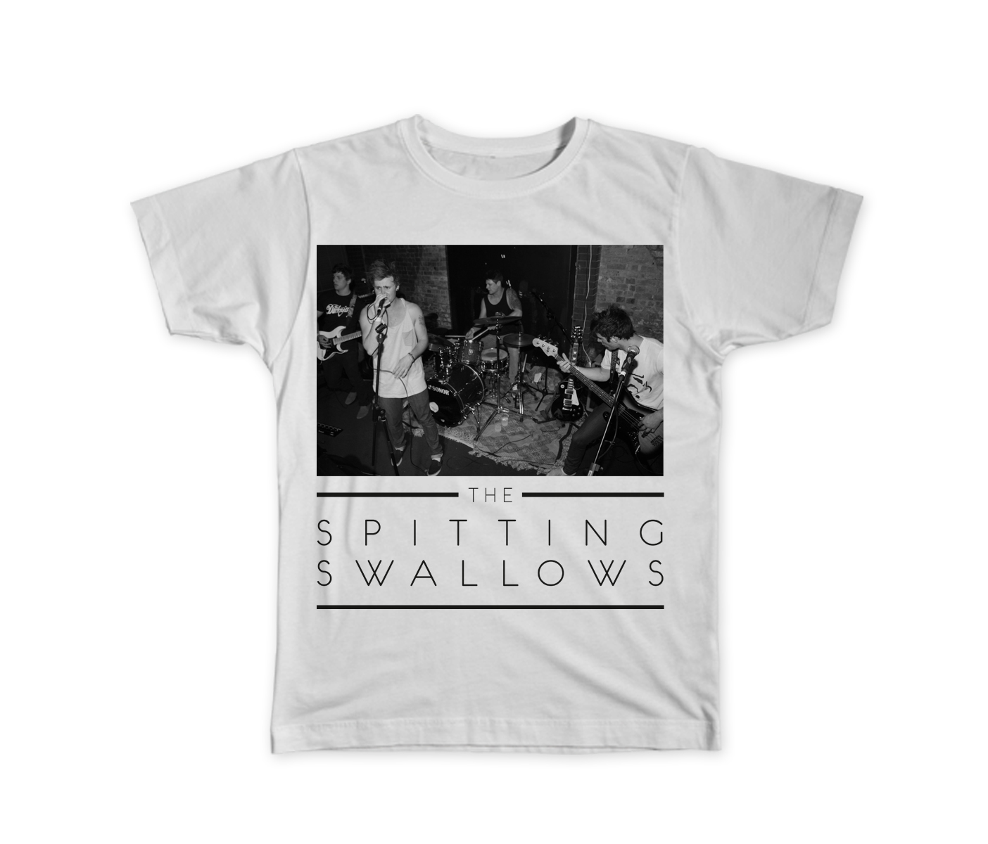 Spitting Swallows Band Photo.jpg