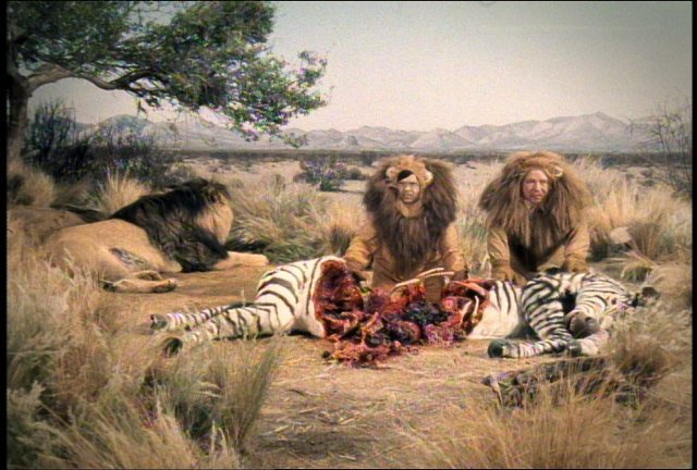 Discovery - Lion Take One