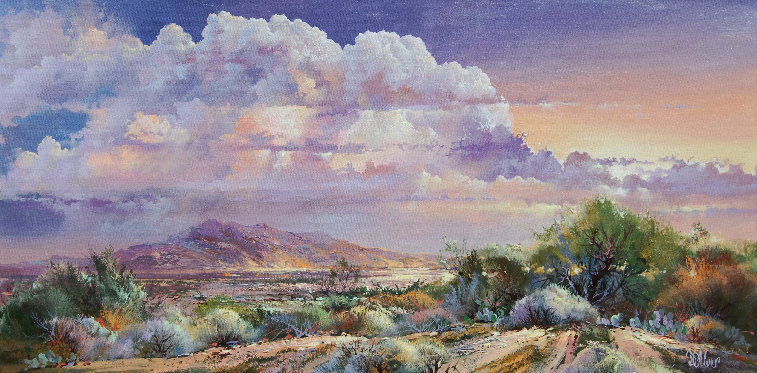  Vantage Point 20 x 40