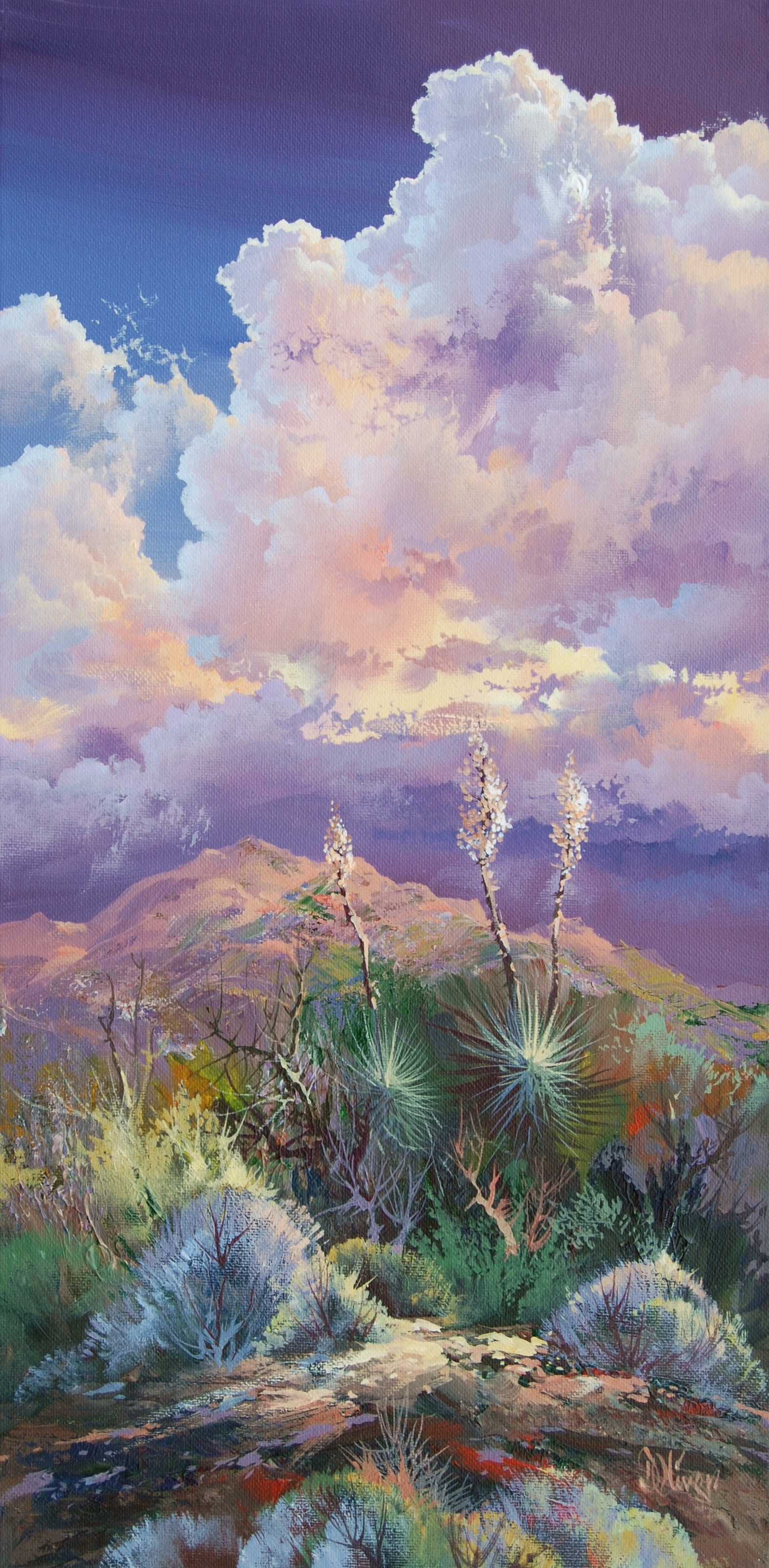 Deep Afternoon 24 x 12