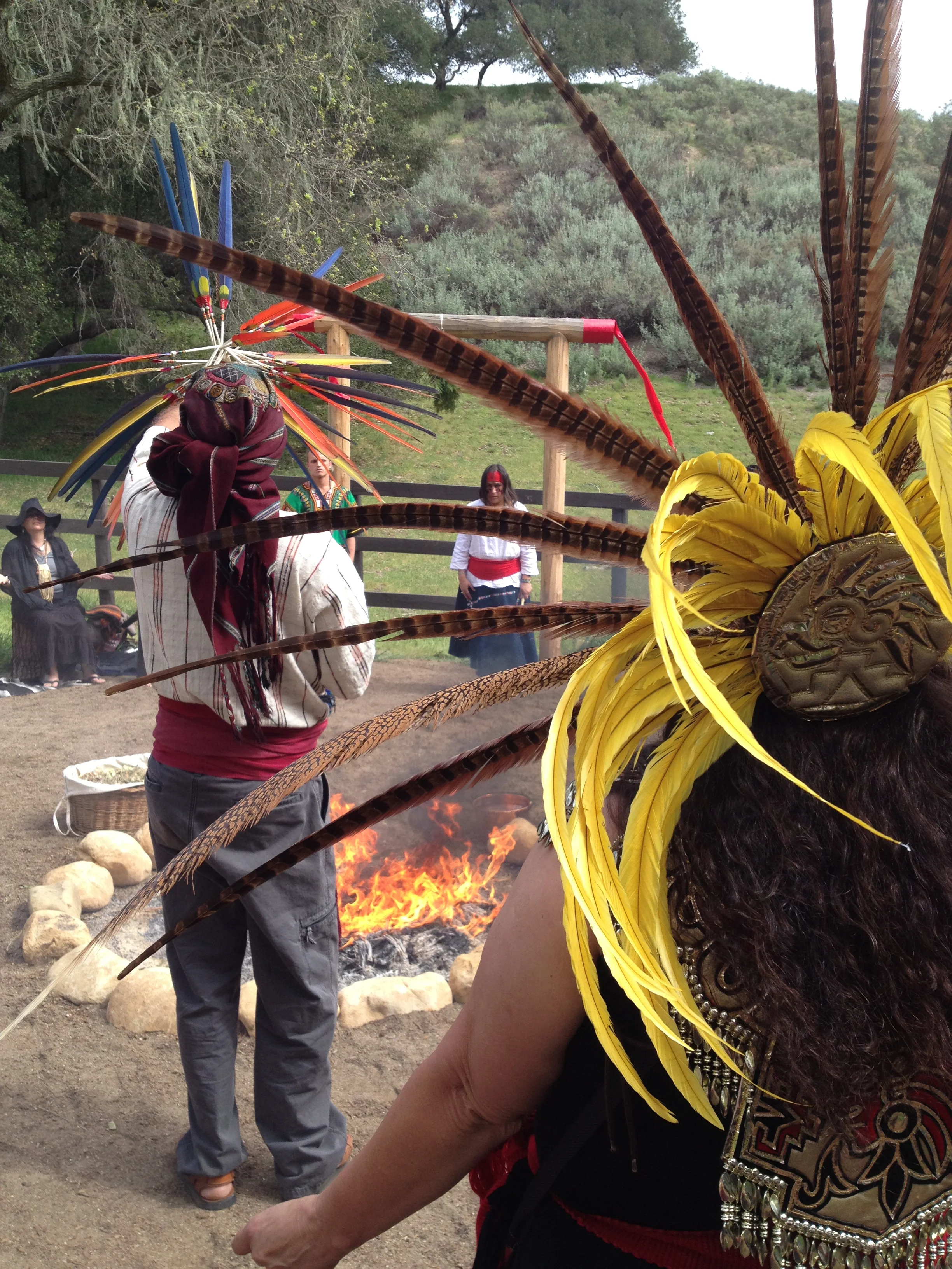 Mexica_dancer_backs.jpg
