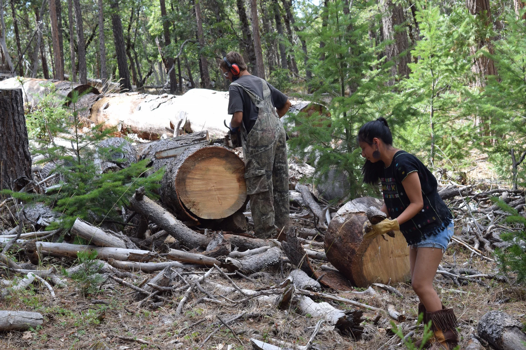 Land service /camp set up at Deer Mountain 