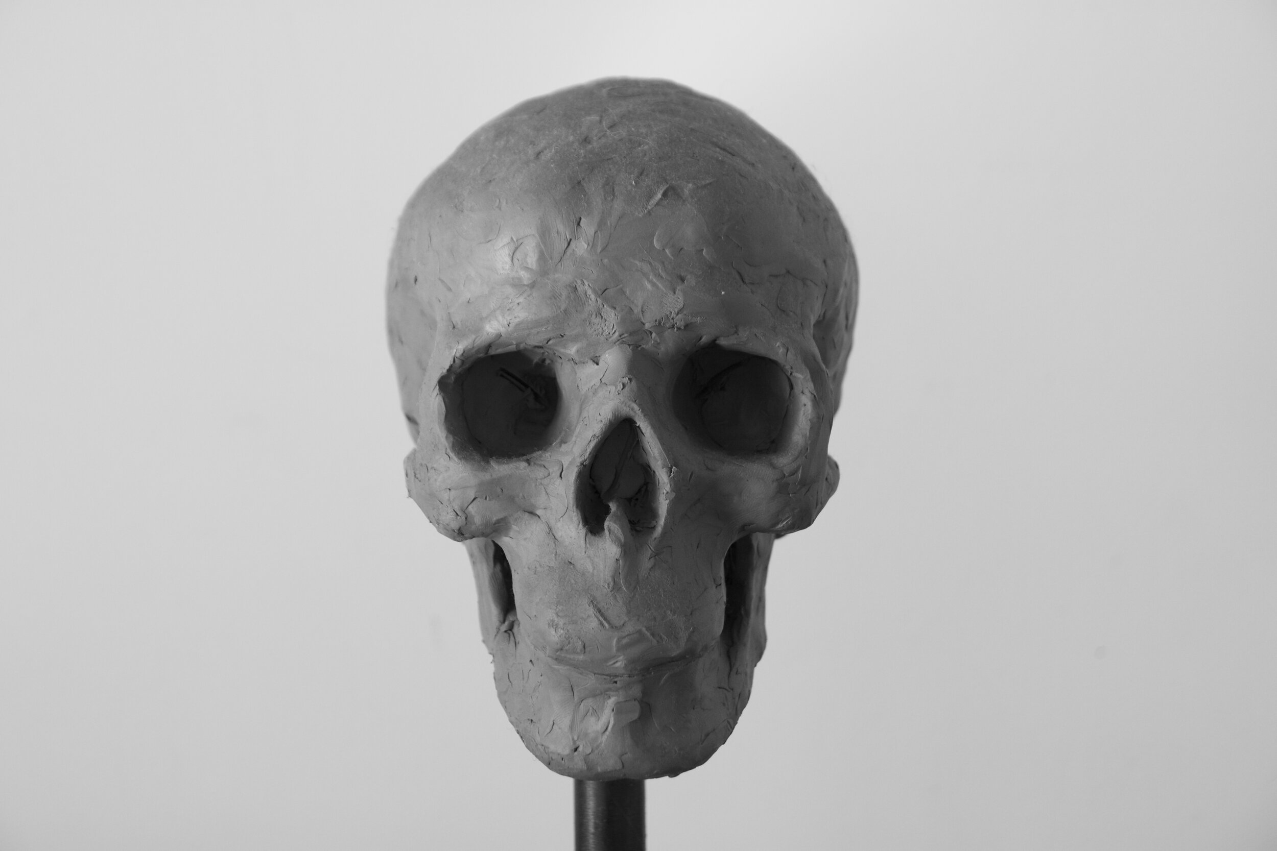 skull sculpture 3 by david golann (iphoto edit-high quality).jpg