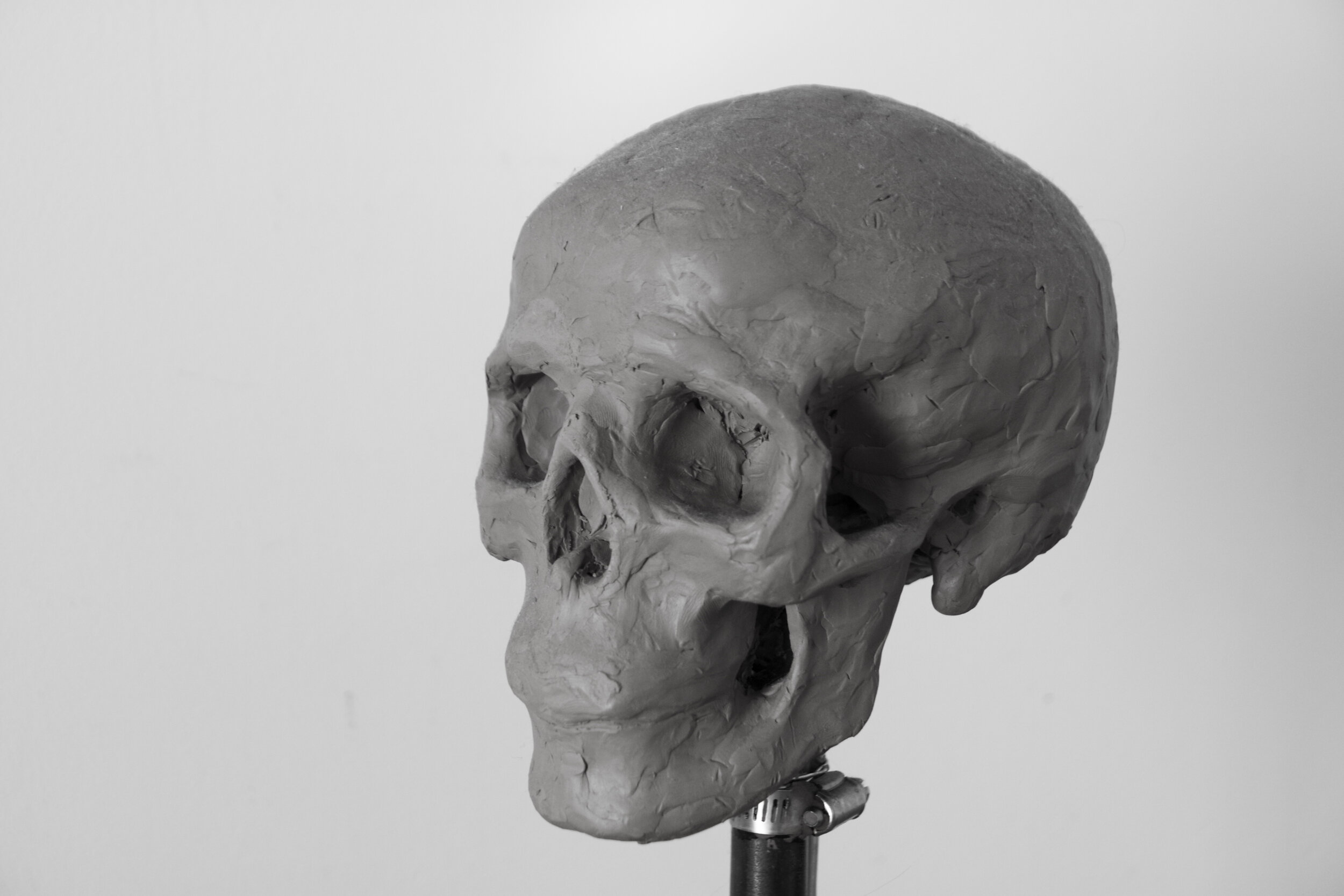 skull sculpture 2 by david golann (iphoto edit-high quality).jpg