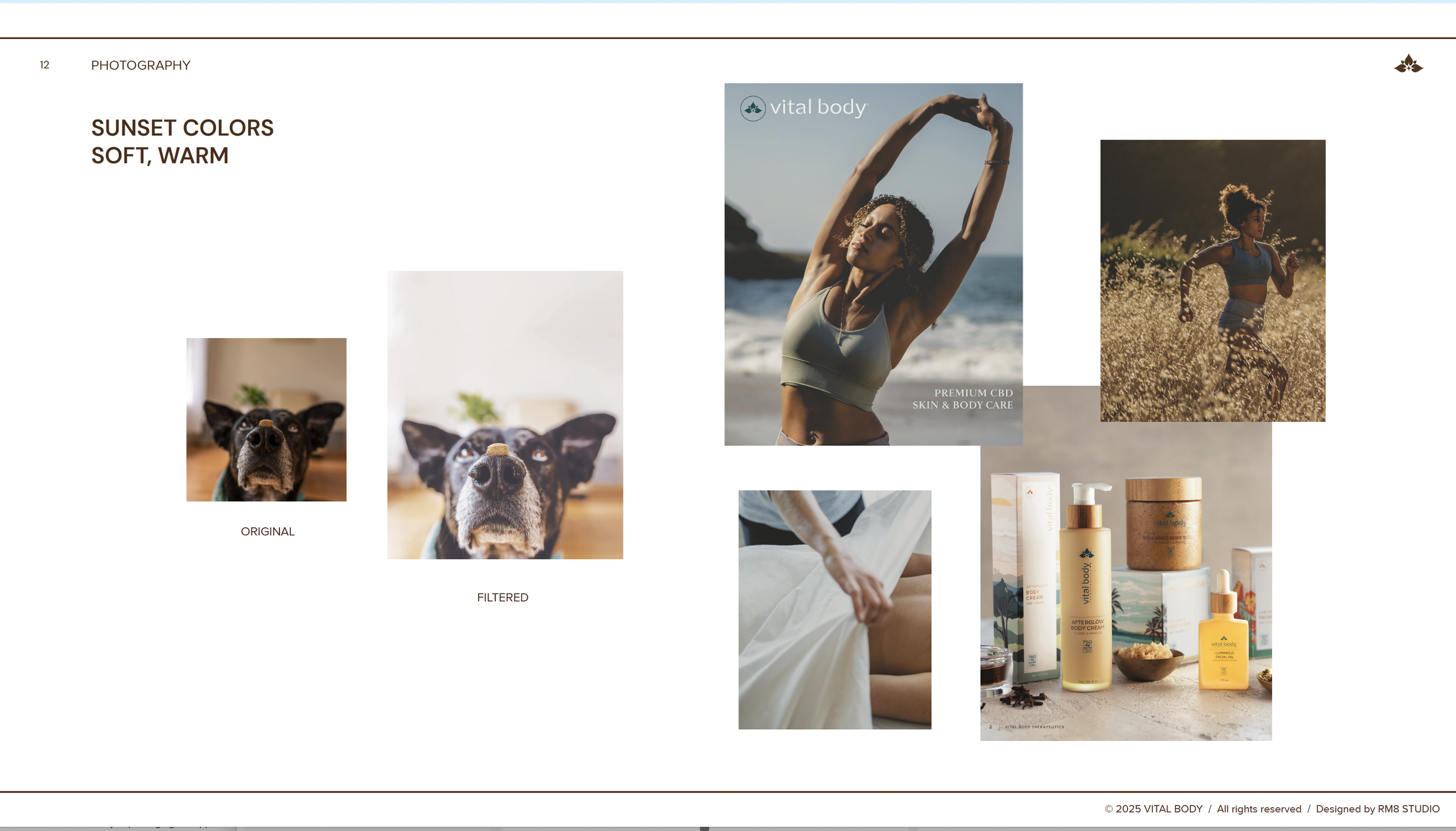 Screenshot 2026-01-09 at 2.51.31 PM.png