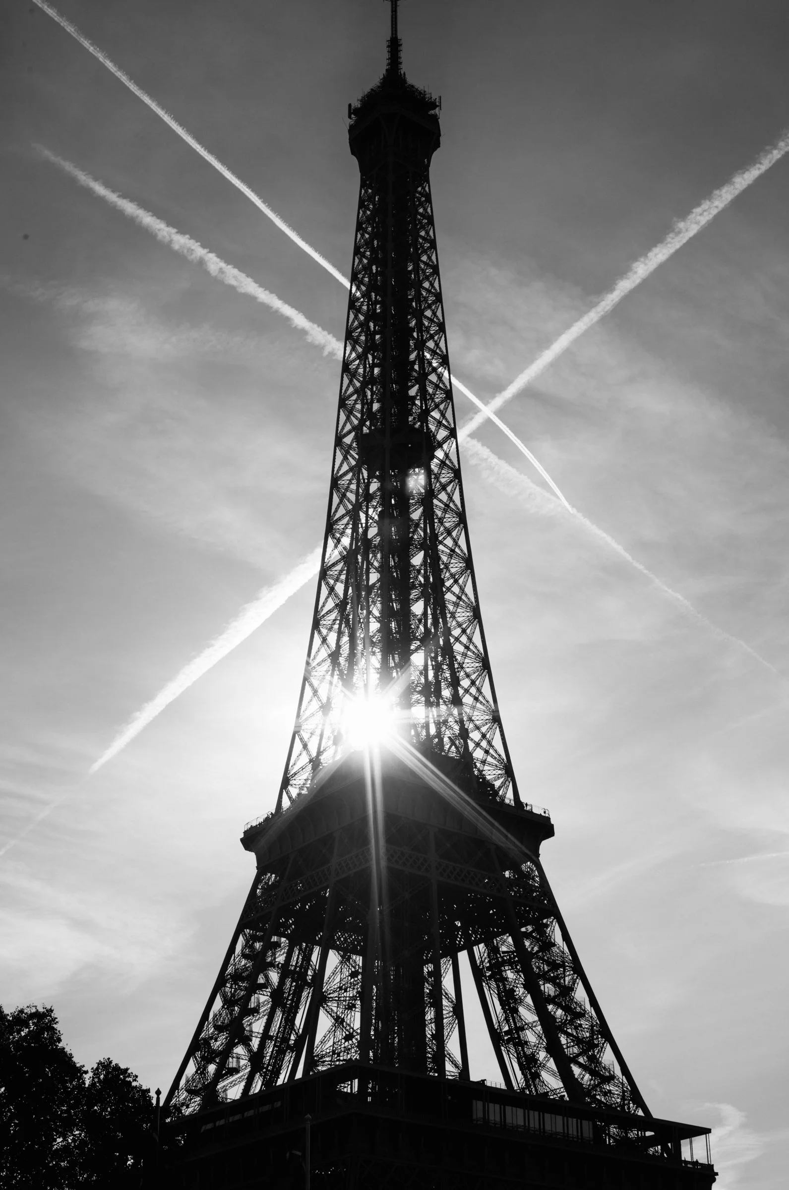 IMG_9311.jpg