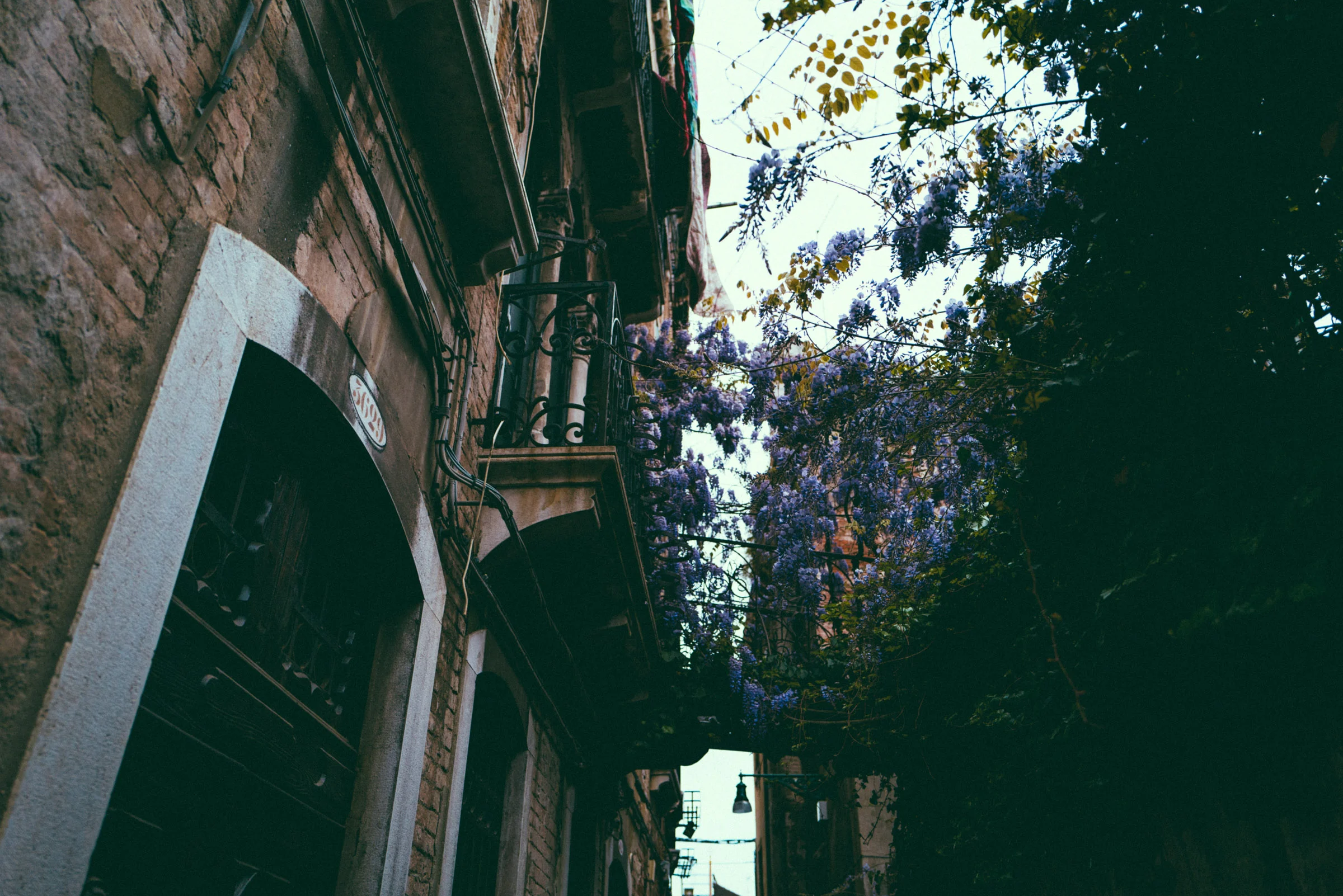 L1010275.jpg