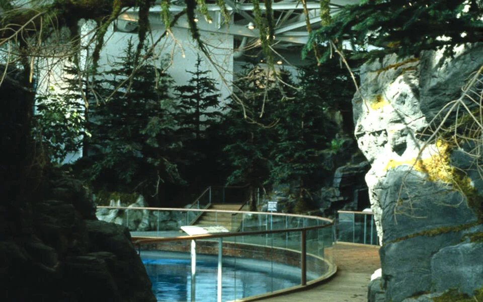 Beluga Habitat Oceanarium