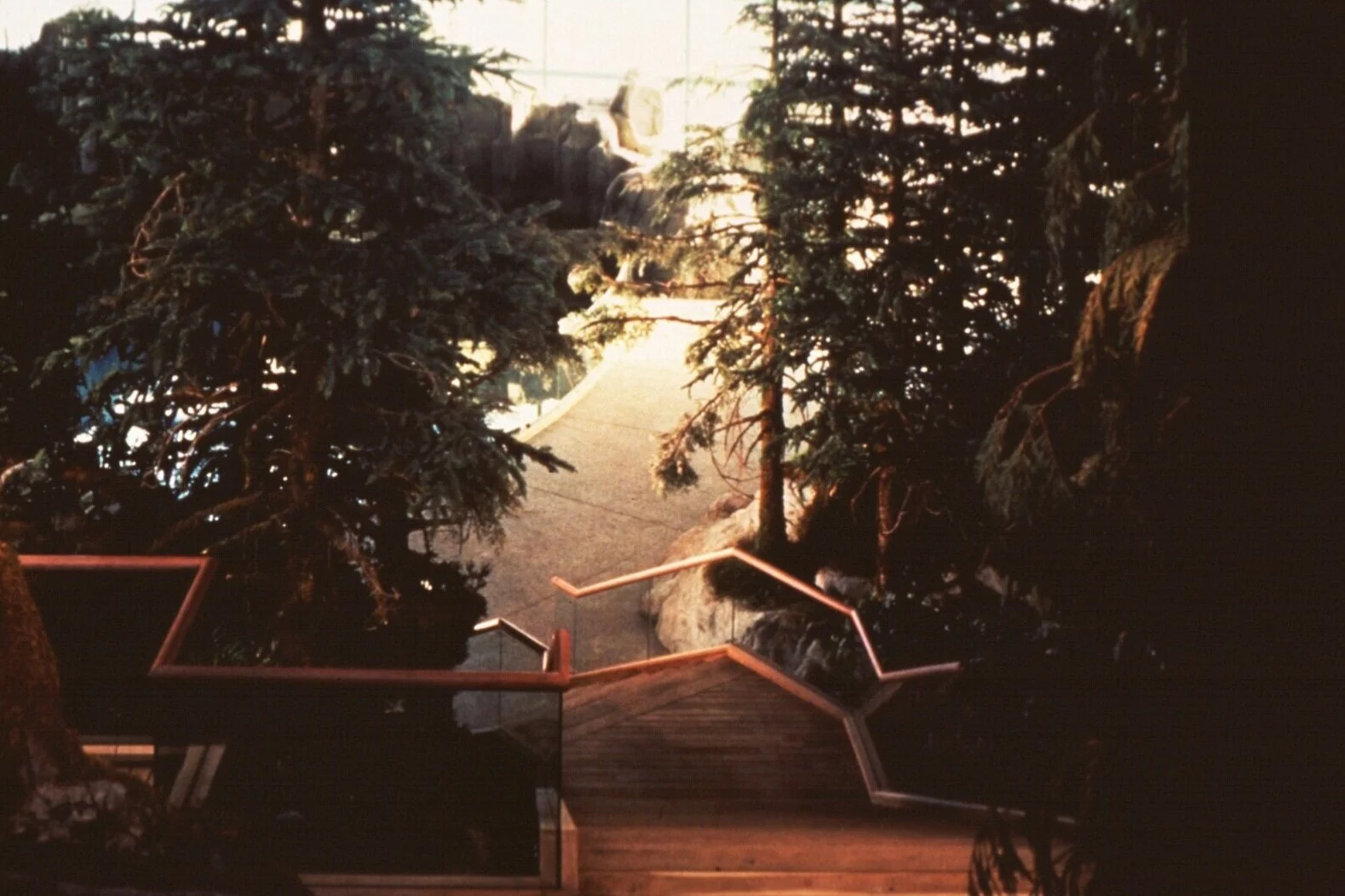 Shedd Aquarium Oceanarium