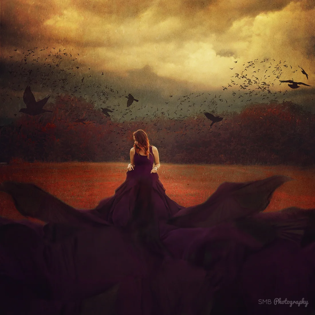 What Dreams May Come | SMB Photography