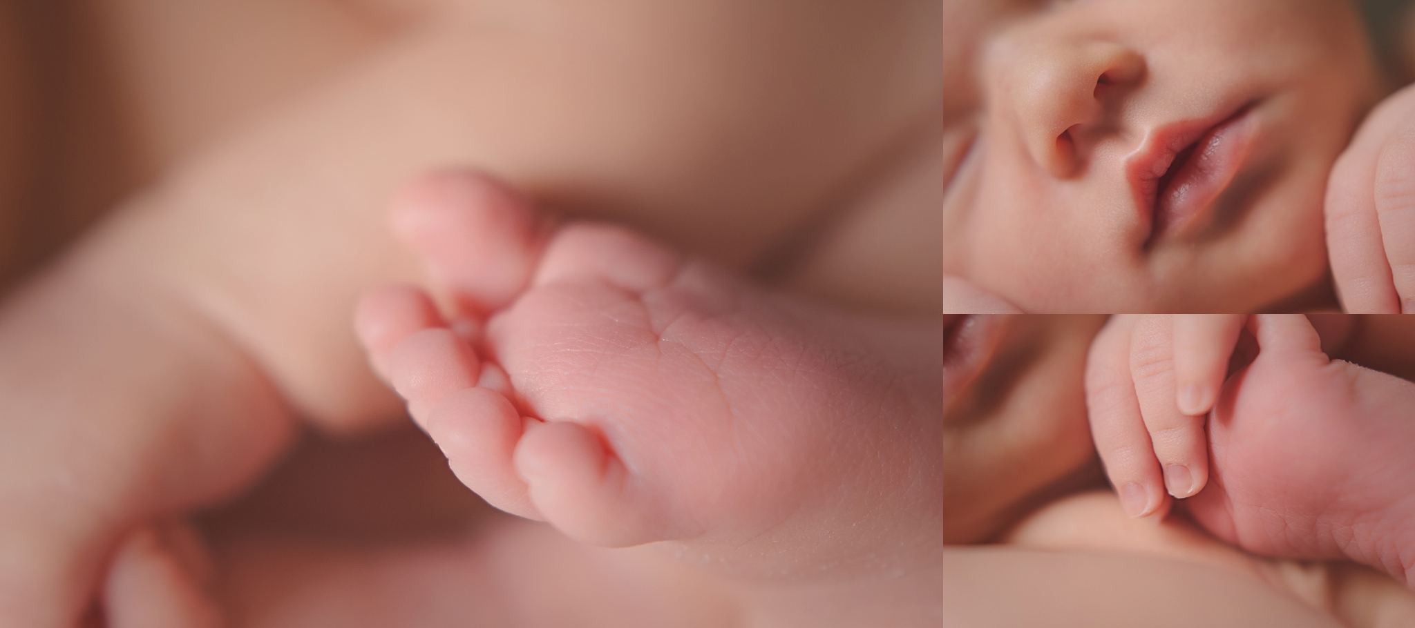 Oklahoma City Newborn Photographer | Baby Sophia