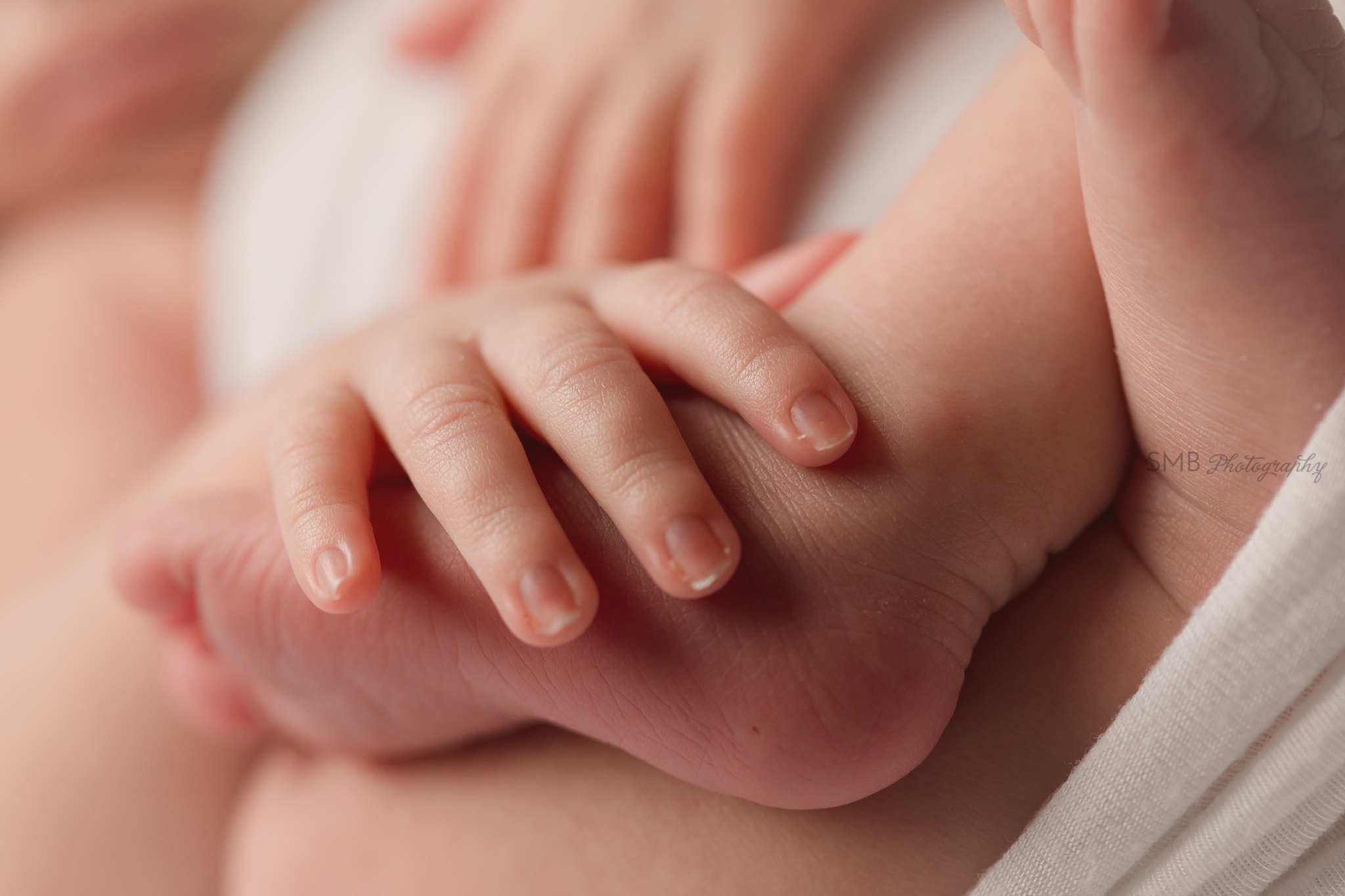 Macro image of baby hands and feet