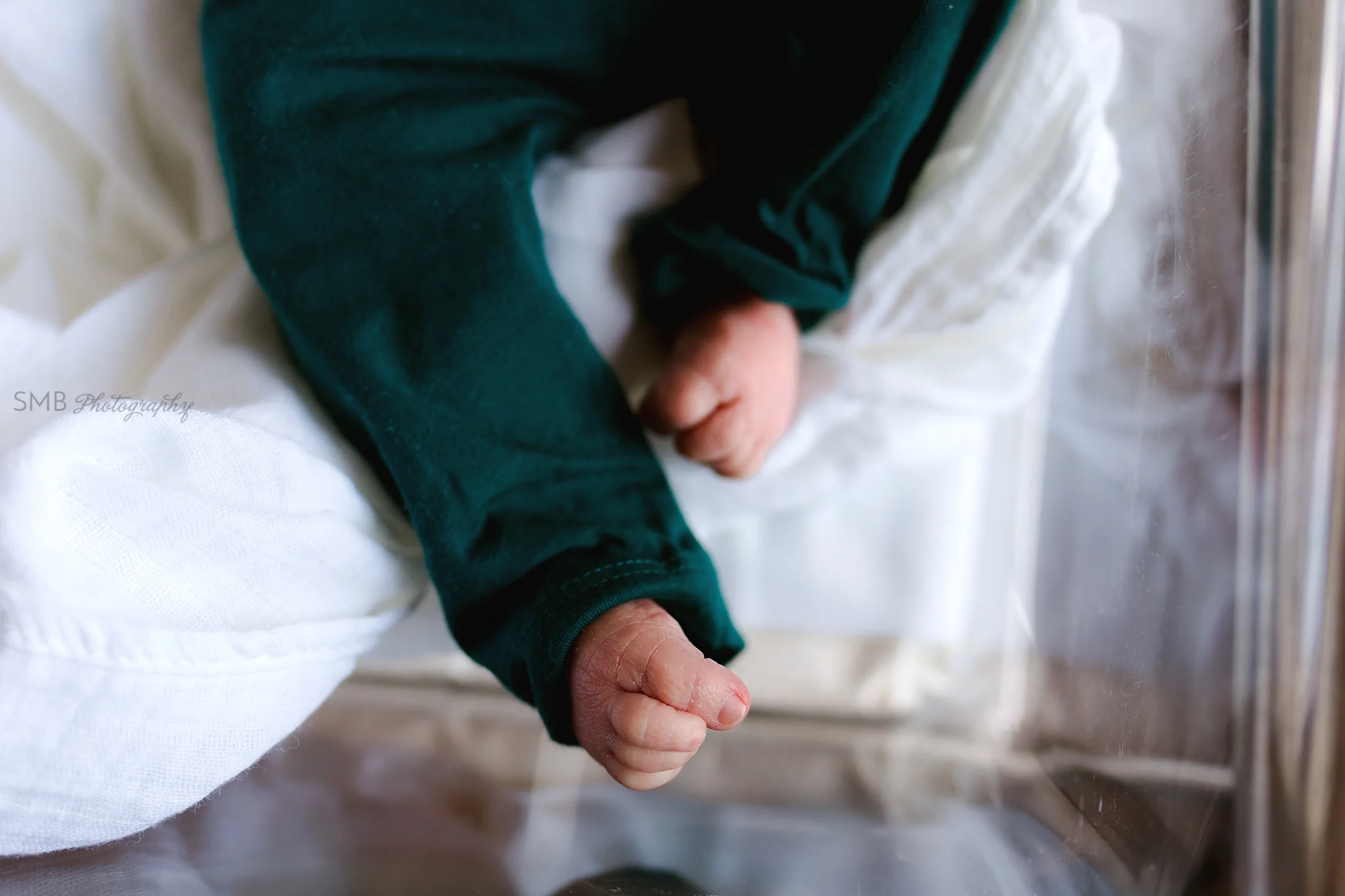 Newborn legs and toes