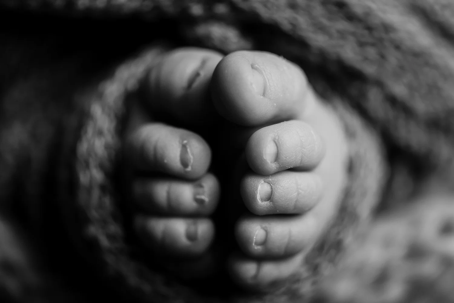 Avery | Newborn Photographer Oklahoma City