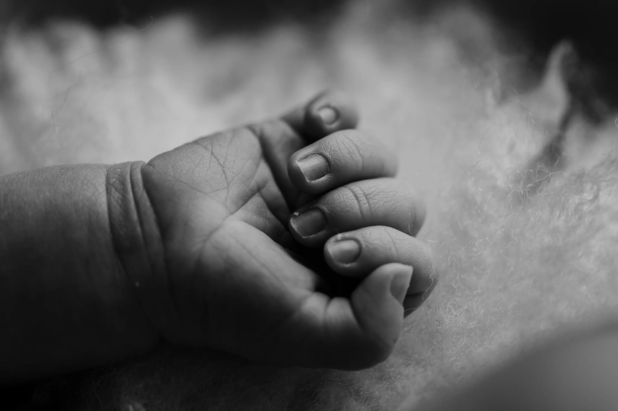 Harlee | Newborn Photographer Oklahoma City