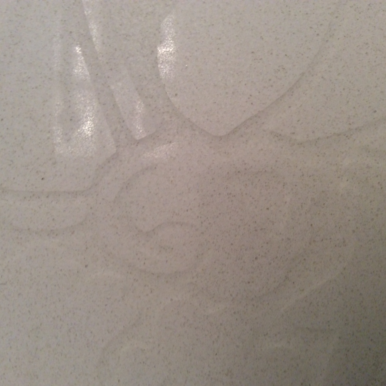 Etched Granite Counter Top