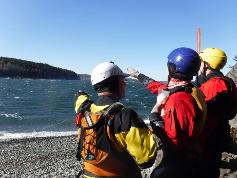 Schedule — pinniped kayak