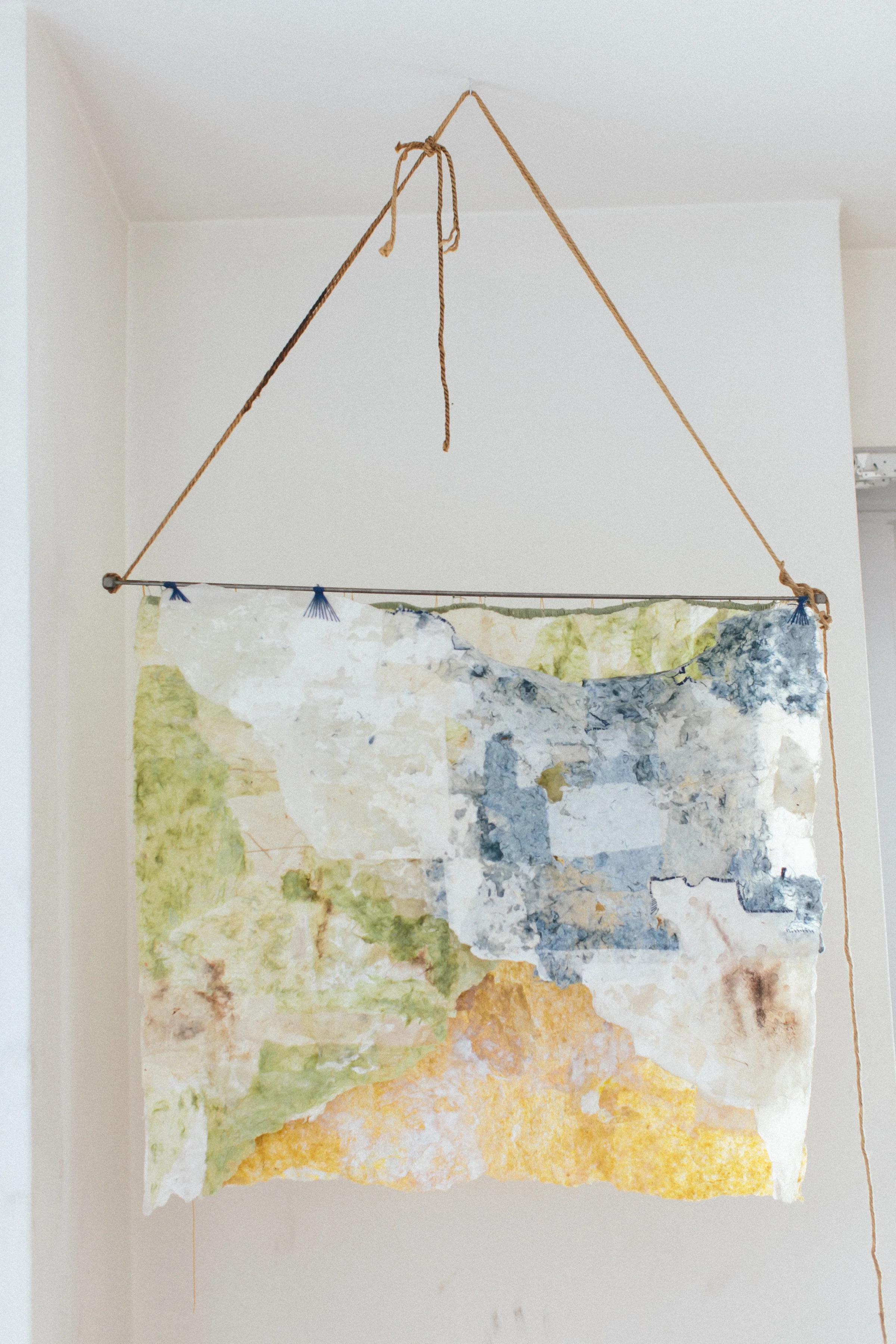 Organzied Chaos, 2013