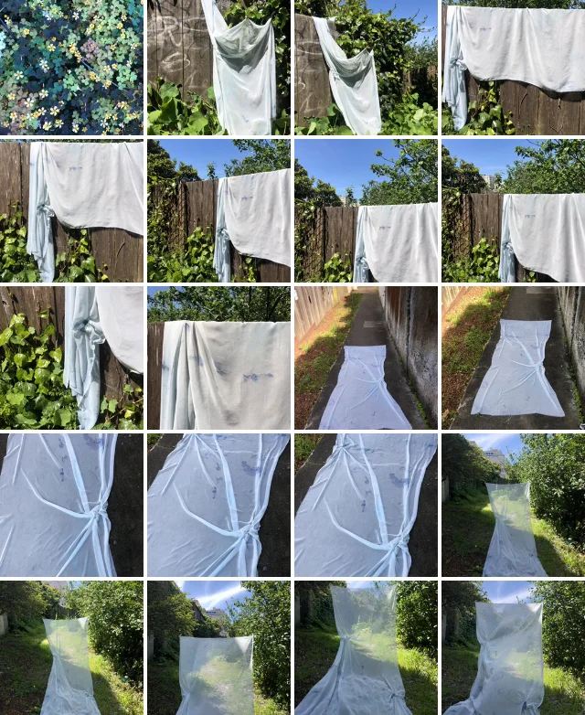 Installation Process