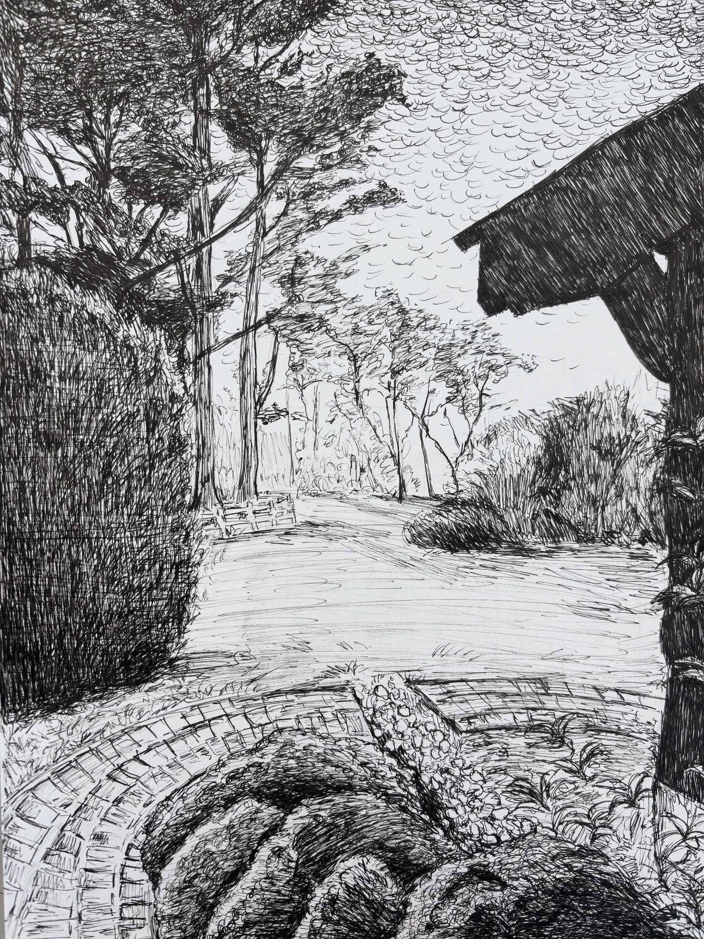 Students worked with micron pens and practiced creating a full range of values, using different mark-making techniques to build from light to dark. After finishing their skill-building study, each student chose a reference photo for their final line 