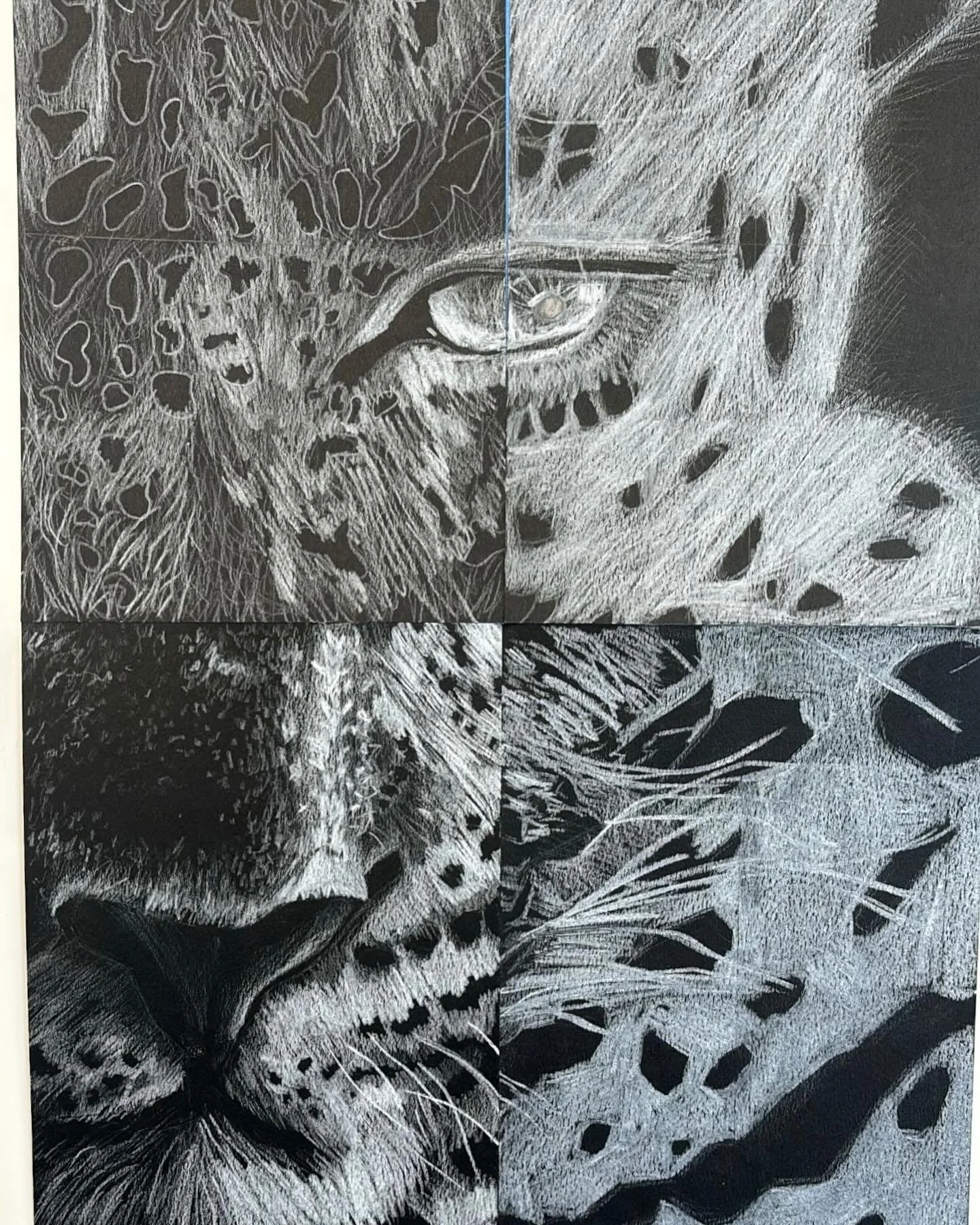 Students in Art Foundations I hit the ground running with their team drawing project. After practicing value scales with white pencil on black paper to understand reverse drawing, students then learned how to achieve a range of marks. This project se