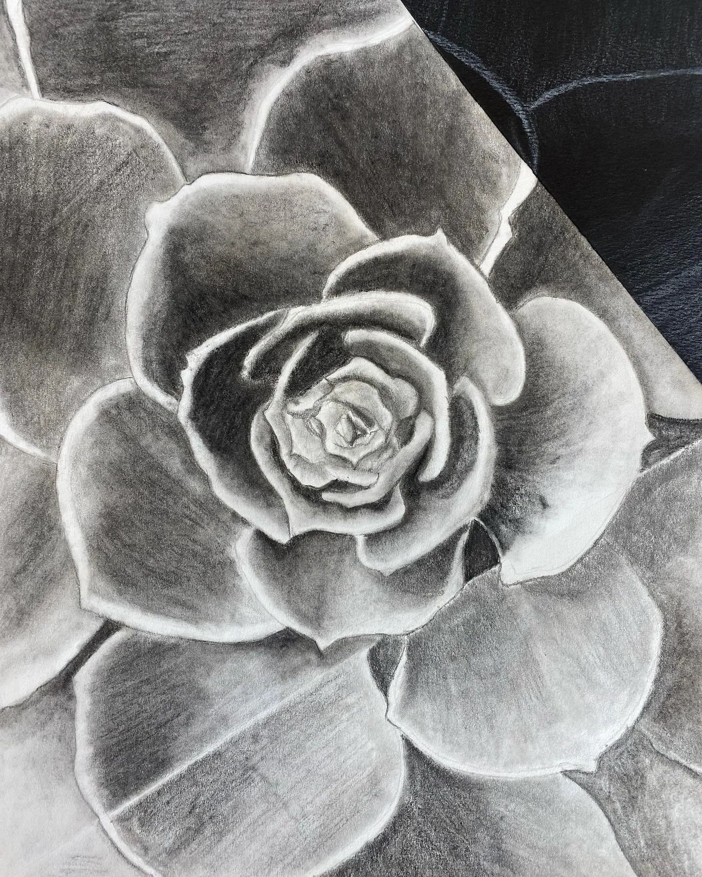 Incredible drawings from Art Foundations I Semester 2. Currently on display in the back stairwell of Pine Octavia. 

Students in Art Foundations I developed their mixed media drawings utilizing graphite, charcoal, and white pencil on black paper. Ove