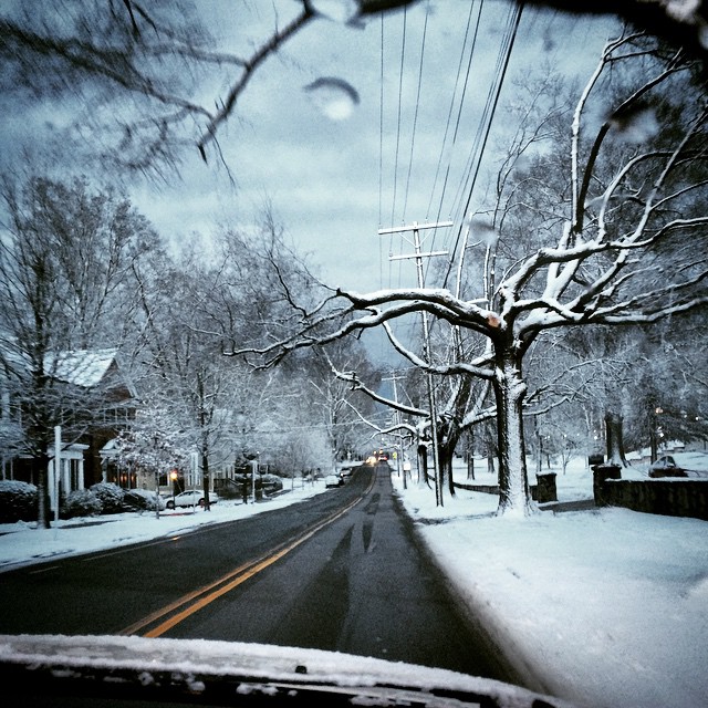 The snowbirds are lurking tonight. {#onedayapparel #onedayatatime #finchinsnow #winterwonderland}