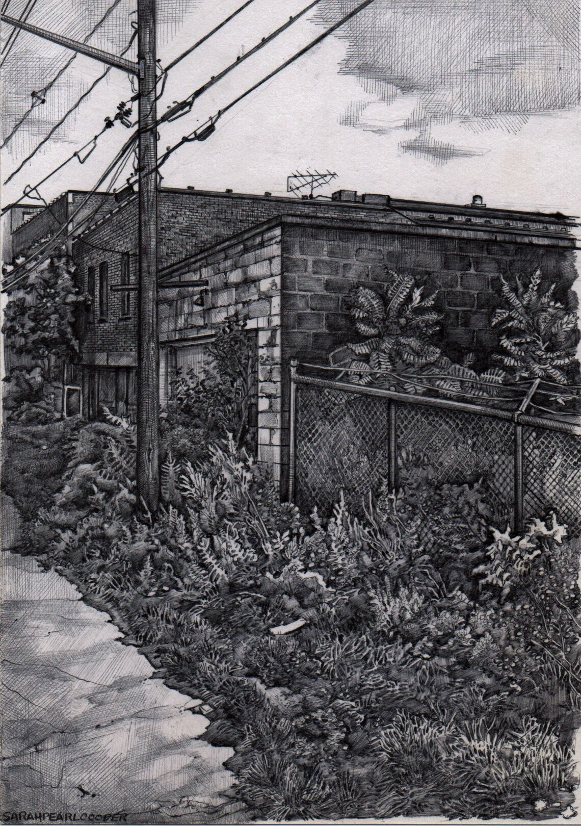 Angled bushes sidewalk cinderblock