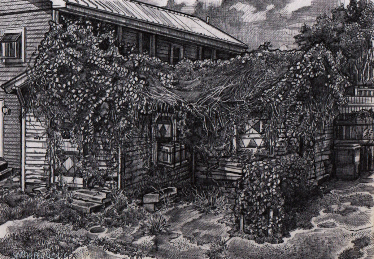 Collapse roof vines.jpeg