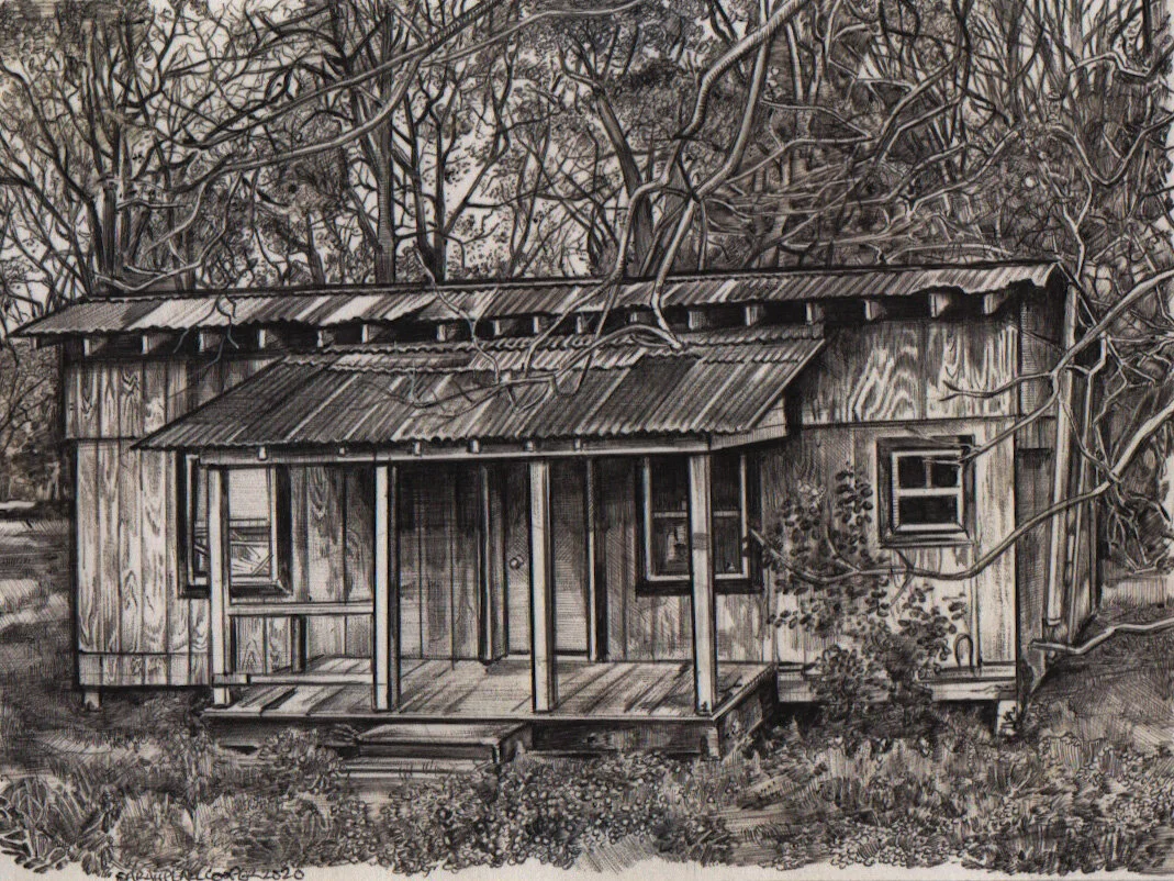 Long metal roof house.jpeg