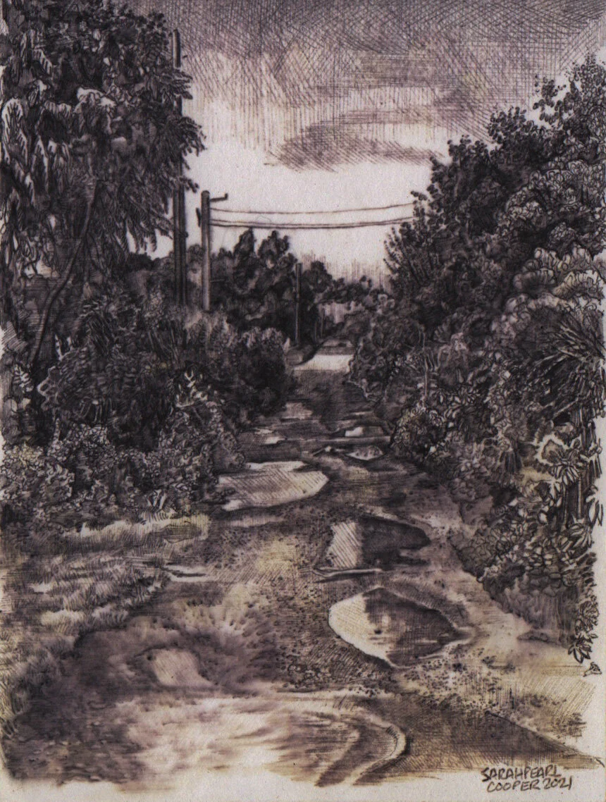 Lower 9 puddles.jpeg