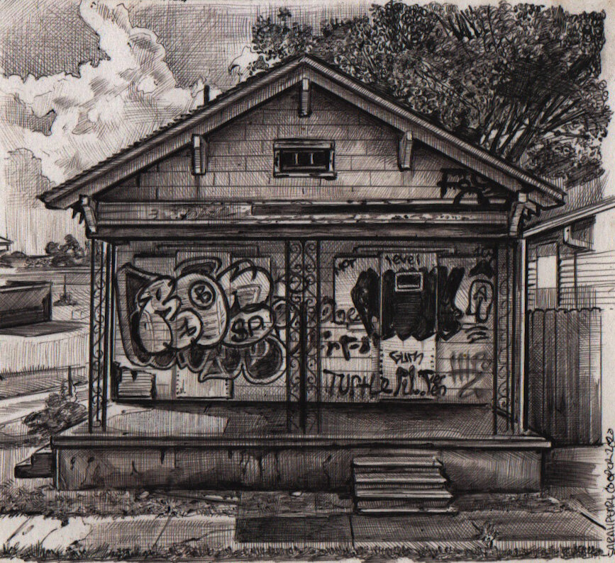 Turtle graffiti house.jpeg