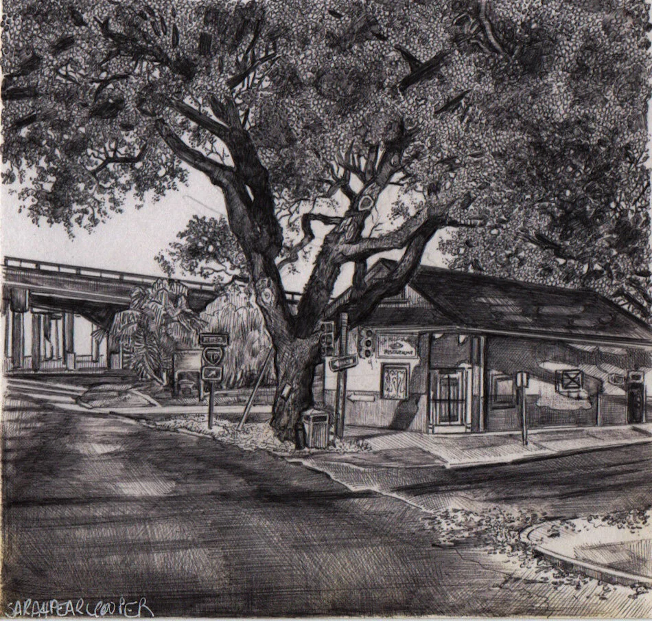 On the way to Lowe’s.jpeg