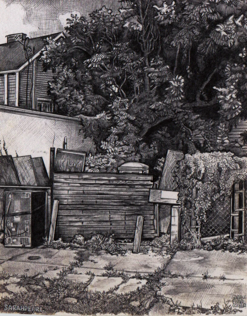 Outhouse behind the fence.jpeg