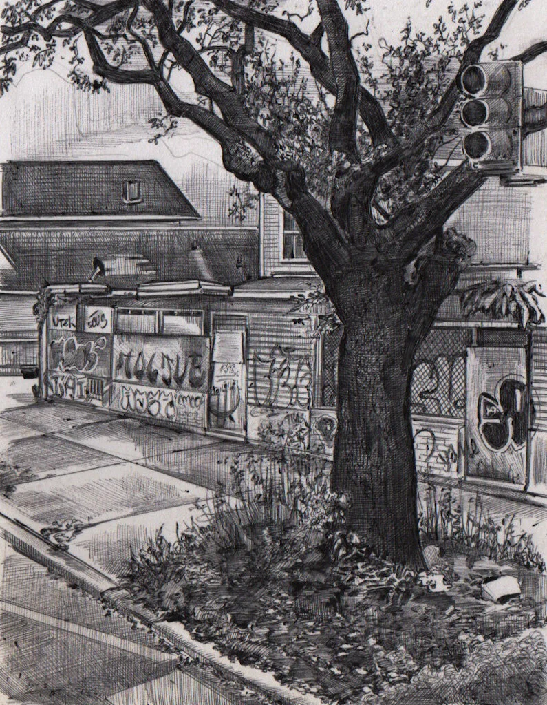 Tree stoplight screen.jpeg