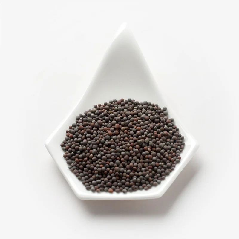 Organic Brown Mustard