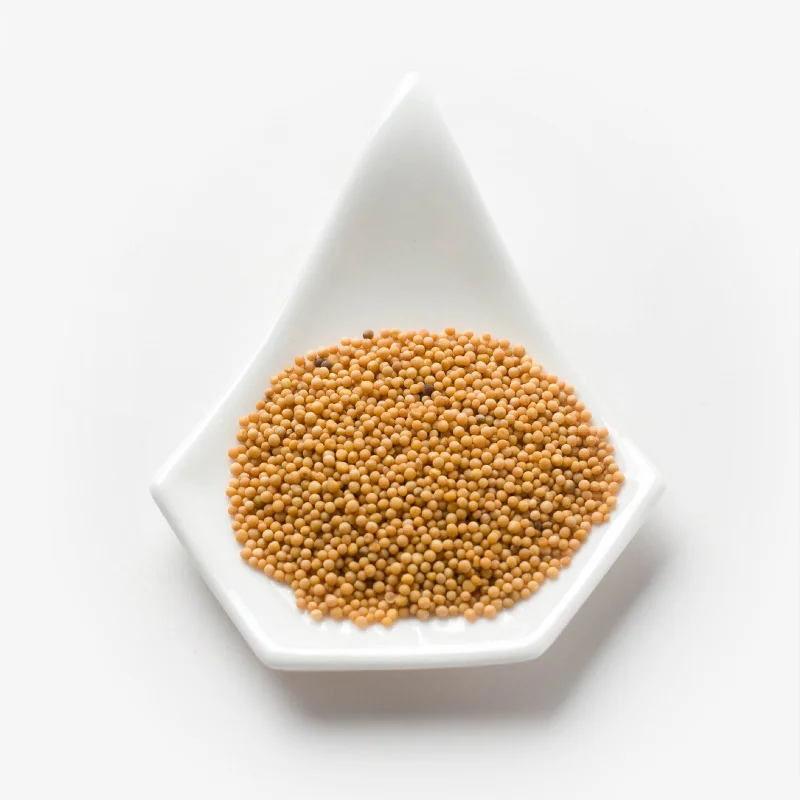 Organic Yellow Mustard
