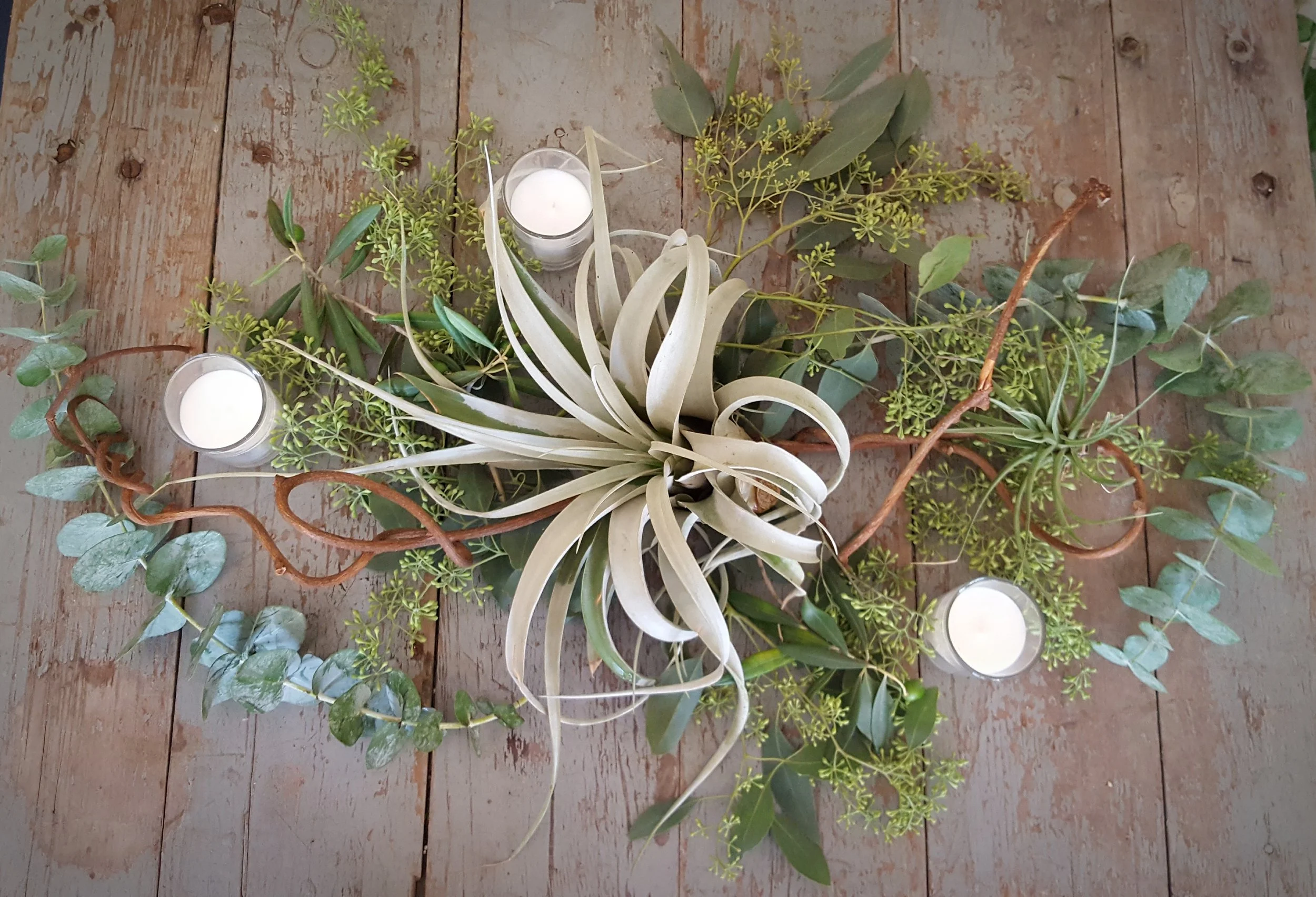 Contact — daffodil*parker