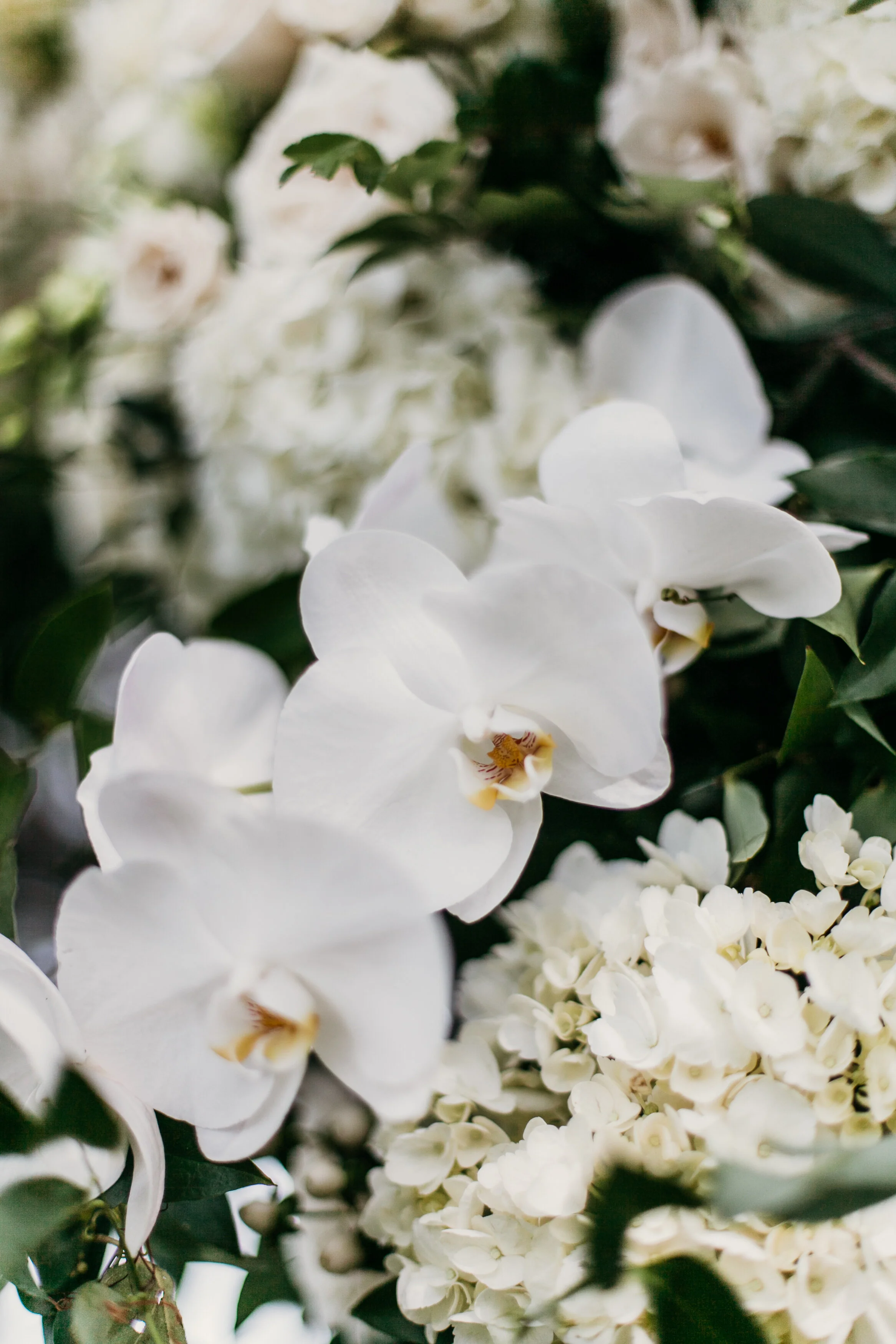 PaperAntler.Julia&Tony.2019 (18).jpg