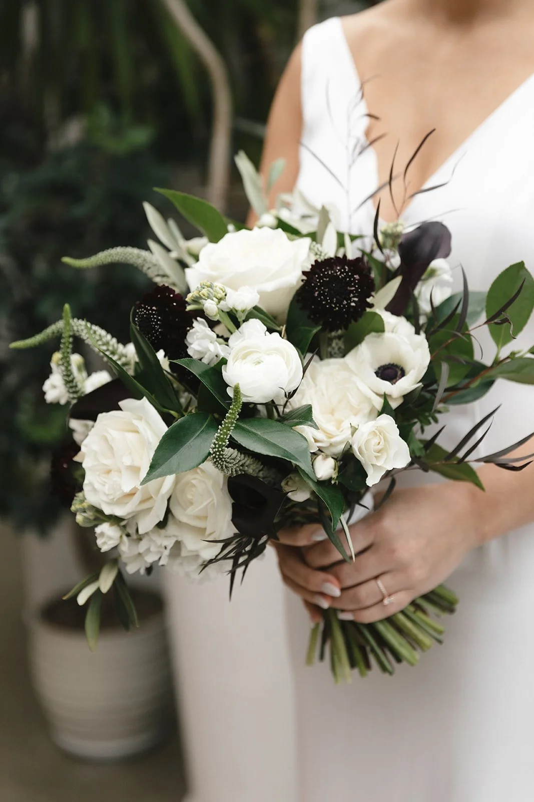 the-haffners-lisayoungphotos-3486_websize.jpg
