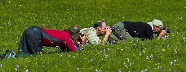 More photographers, better service?
