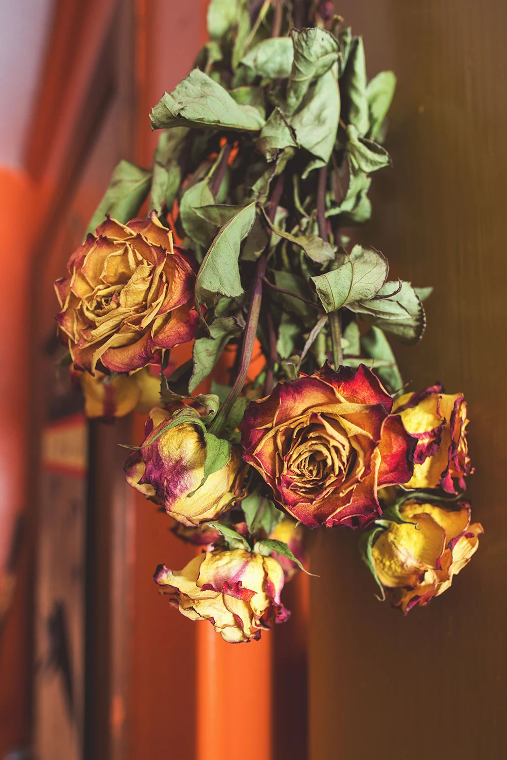 wedding_photography_sandrachile_5