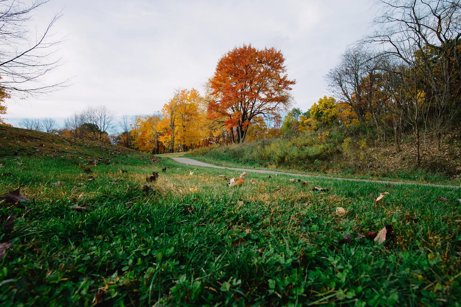 Sandrachile | Pittsburgh photographer