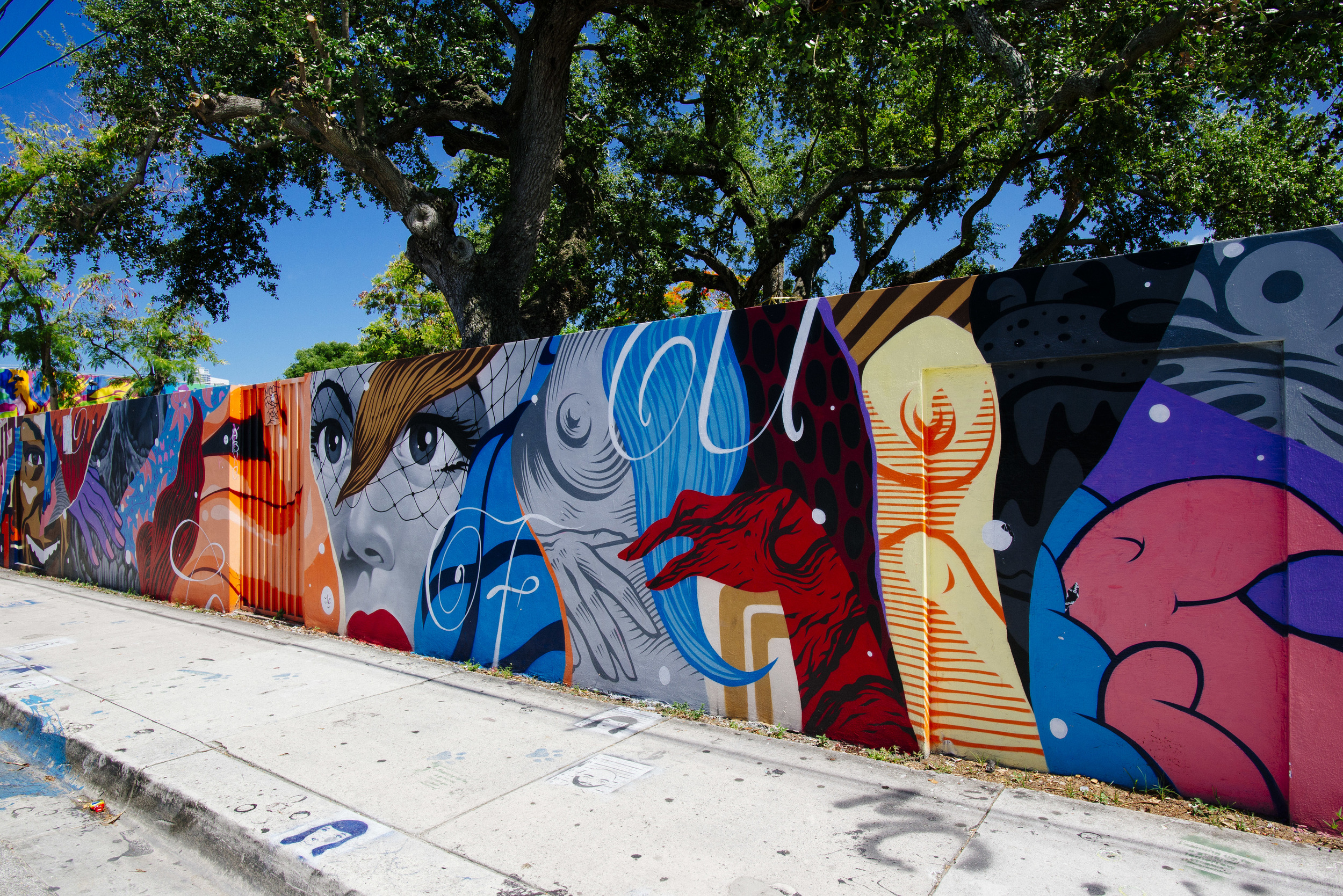 Wynwood Miami by Sandrachile
