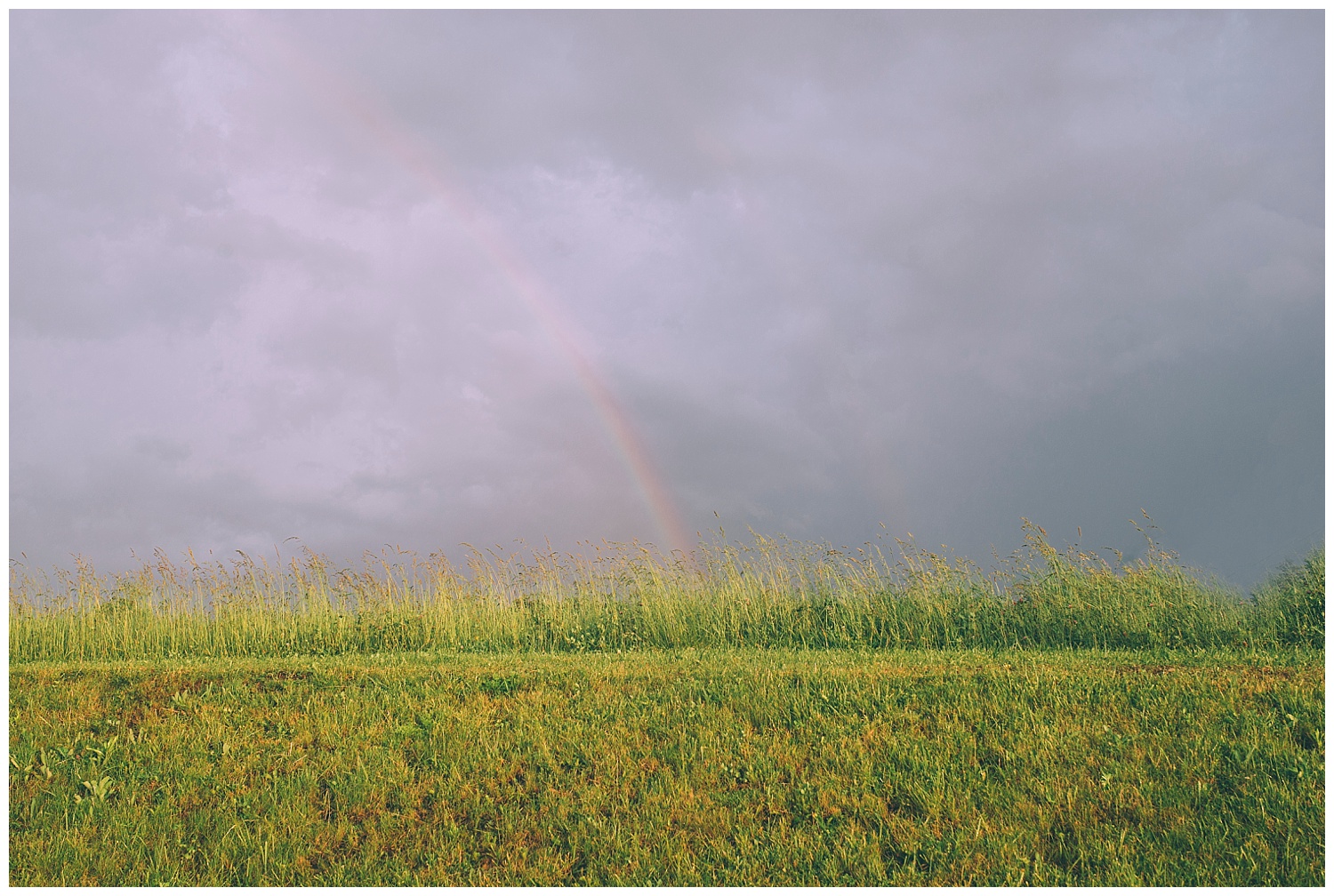 Rainbow